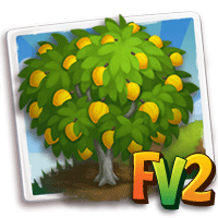 Eggfruit Tree