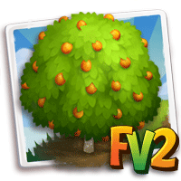 Fukushu Kumquat Tree